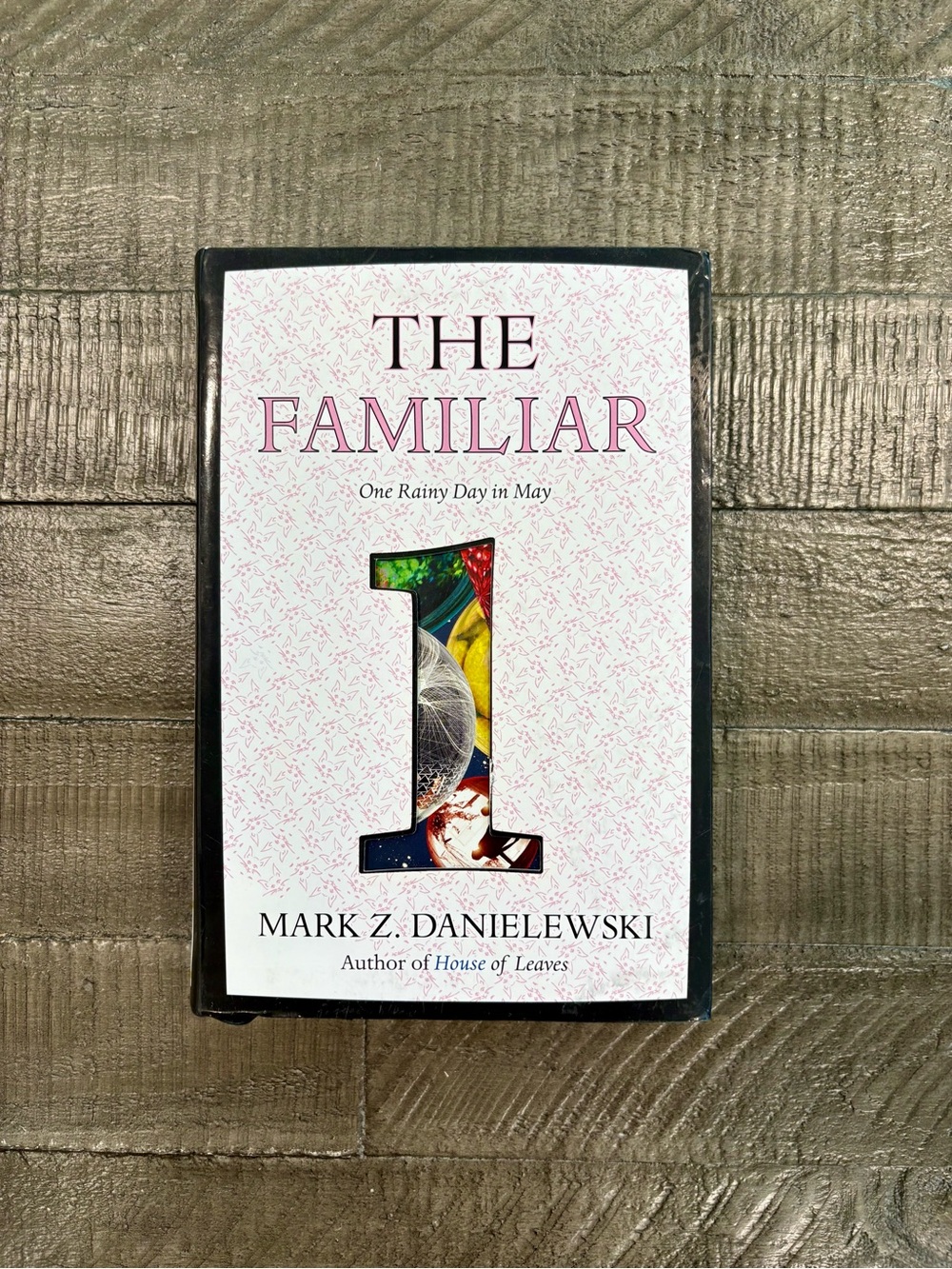 The Familiar One by Mark Z. Danielewski Book